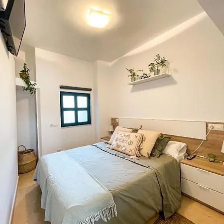 Sapoconcho By Alôga *