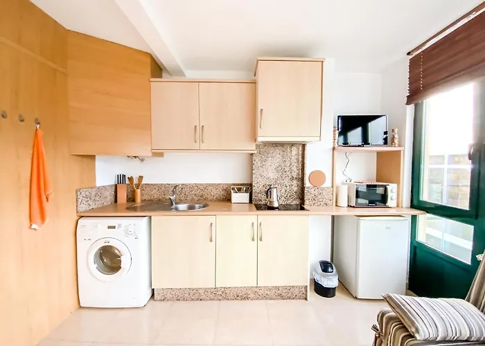 Sapoconcho By Aloga *