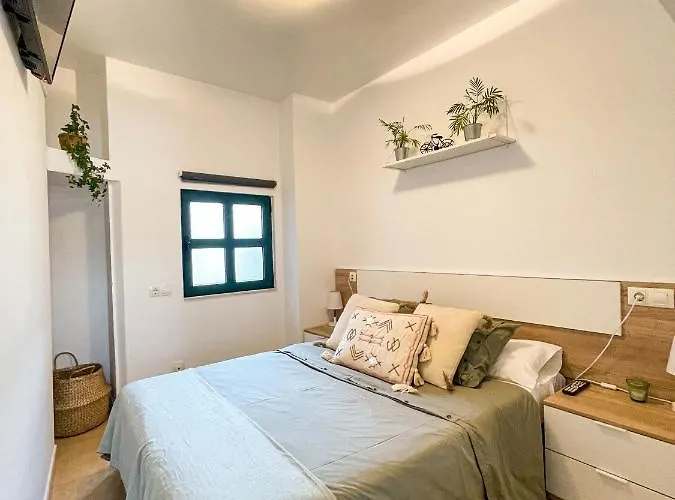 Sapoconcho By Aloga *