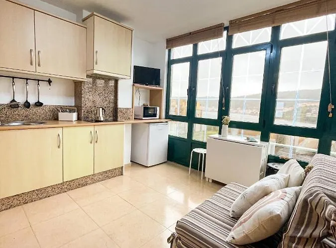 Sapoconcho By Aloga *